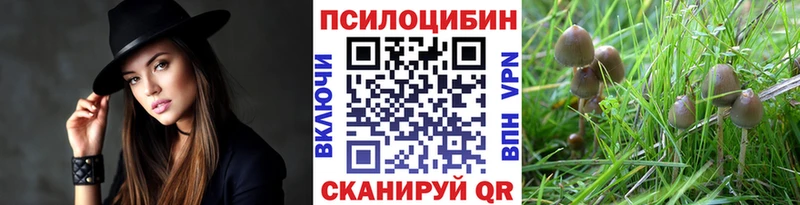Псилоцибиновые грибы ЛСД  МЕГА вход  Клинцы  продажа наркотиков 